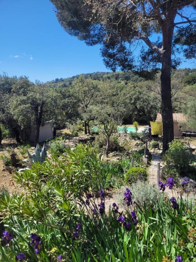 Bastide Cigaline