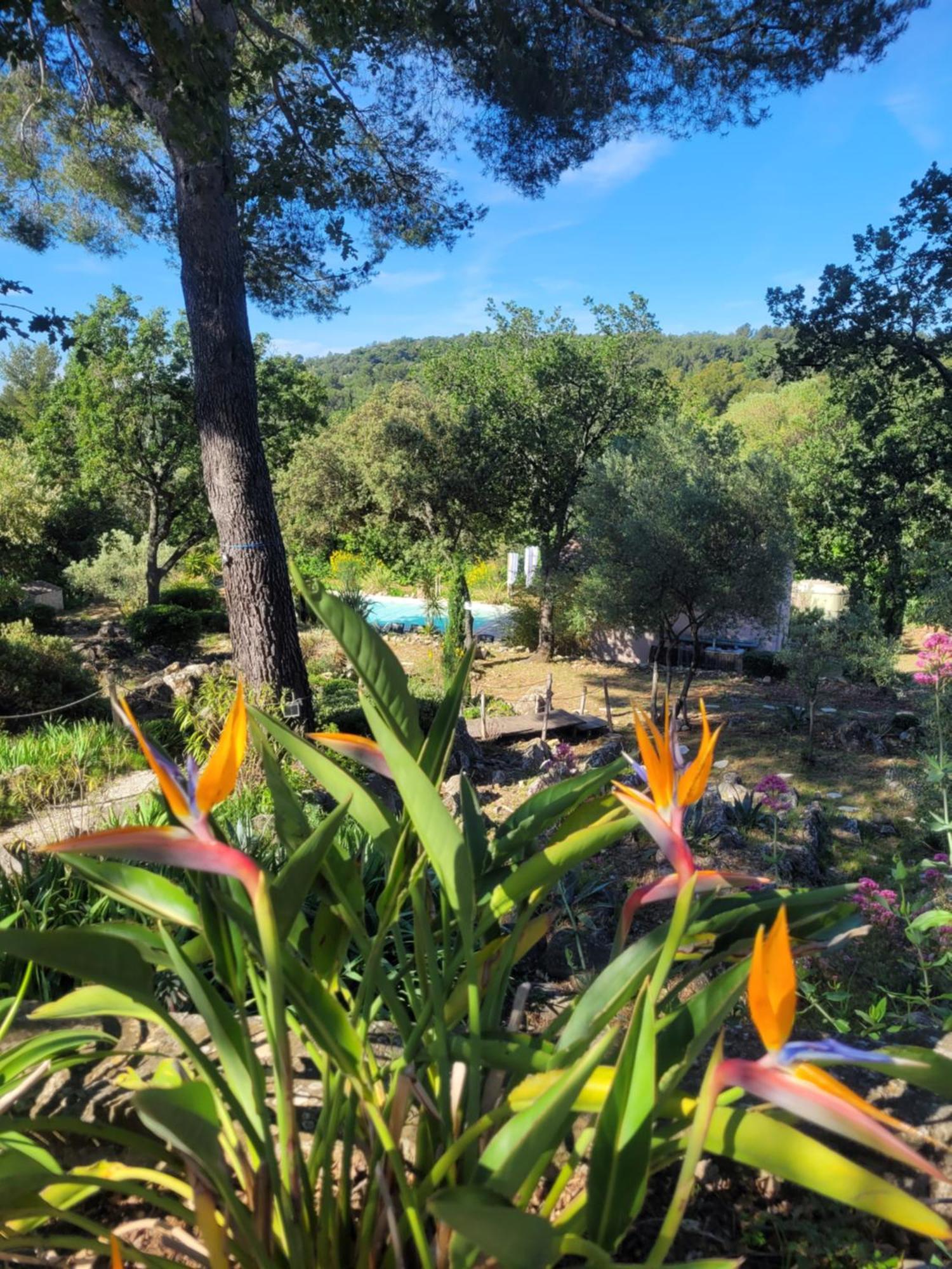 Bastide Cigaline Holiday home