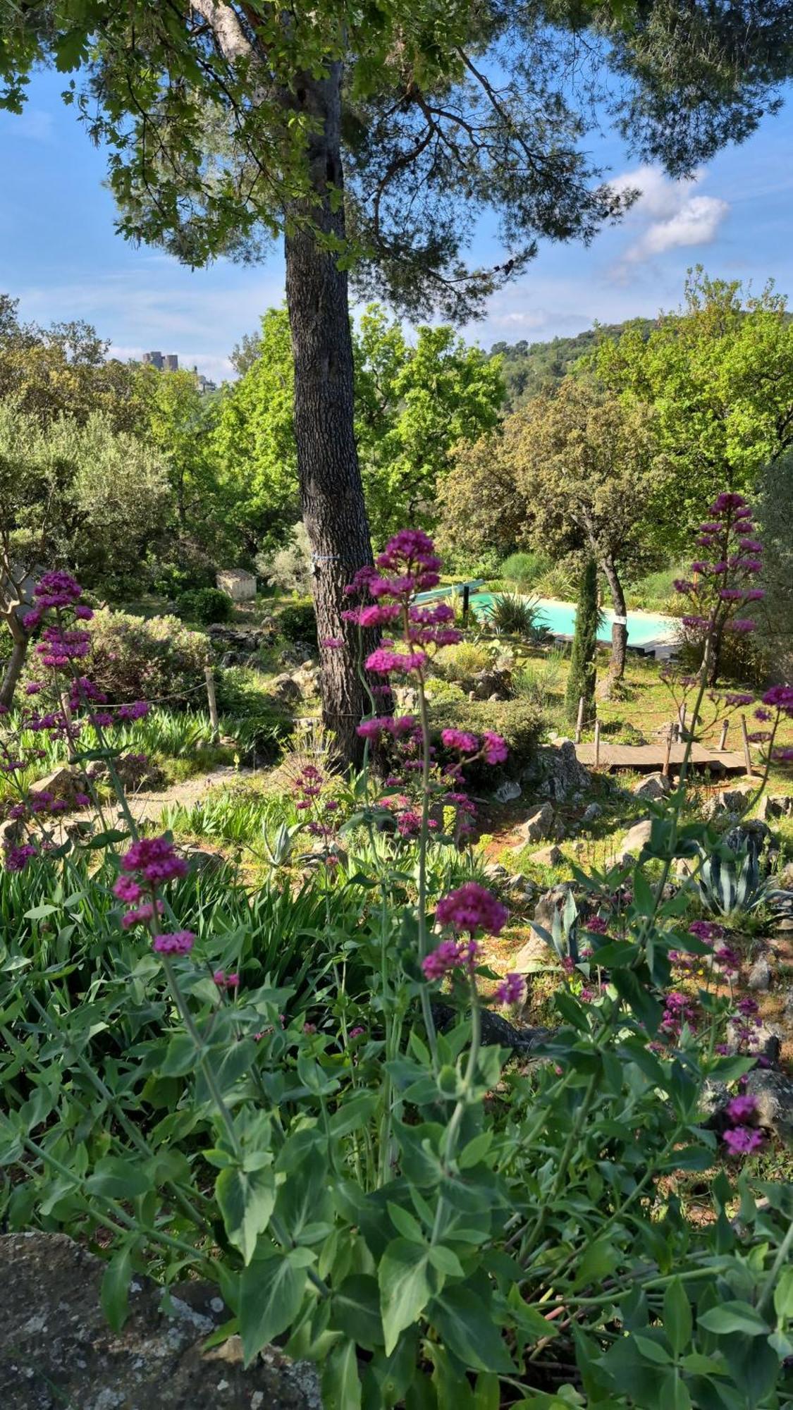 Bastide Cigaline